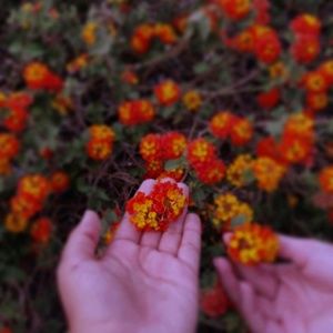 Meet your Posher, Audrey